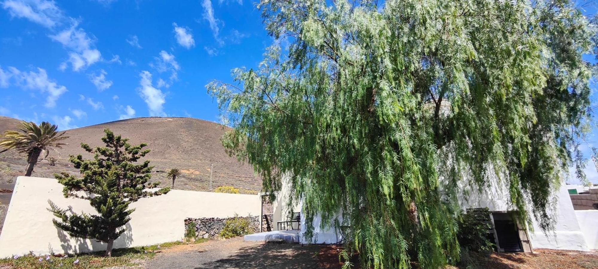فيلا Casa Olga Máguez المظهر الخارجي الصورة